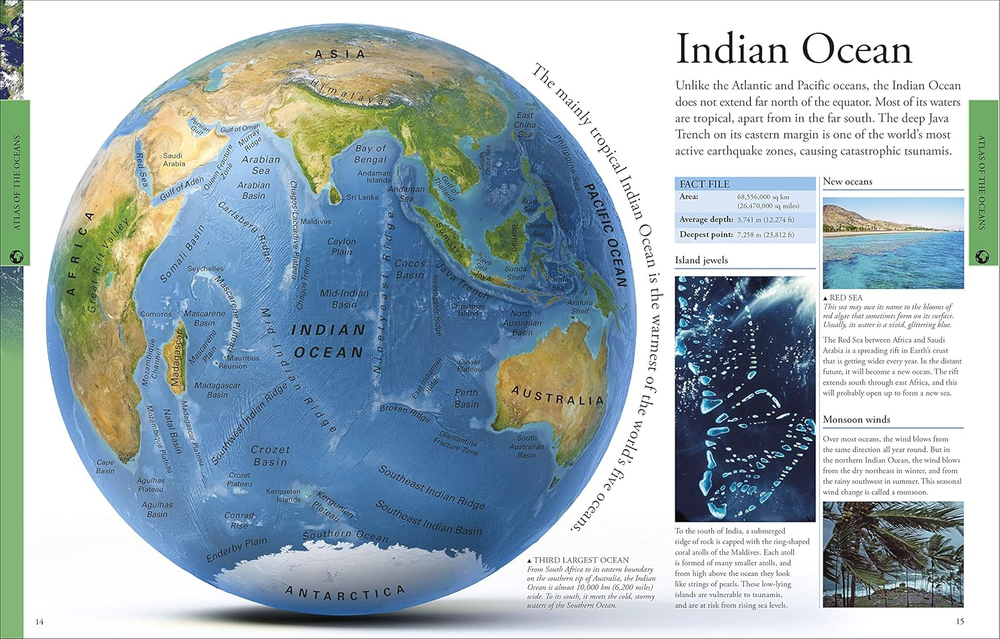 Ocean A Childrens Encyclopedia