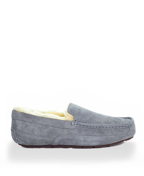 ASCOT MENS grey