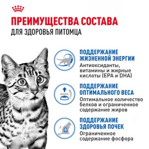 Пауч Royal Canin Indoor Sterilized 7+ для кошек в возрасте от 7 до 12 лет, живущих в помещении, небольшие кусочки в соусе
