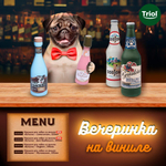 Игрушка для собак "Бутылка - Дом Барбасьон", 185мм, Triol