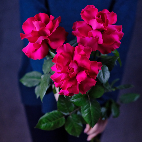 Купить Букет французских роз Ruby Rose 3 шт.