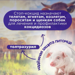 Суспензия для щенков и сельхоз животных для лечения и профилактики кокцидиозов Аписенна СТОП-КОКЦИД 100мл, Толтразурил 50мг