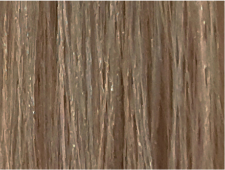 99/21 Изи Эскалатион Абсолют Лисап 60мл краска для волос