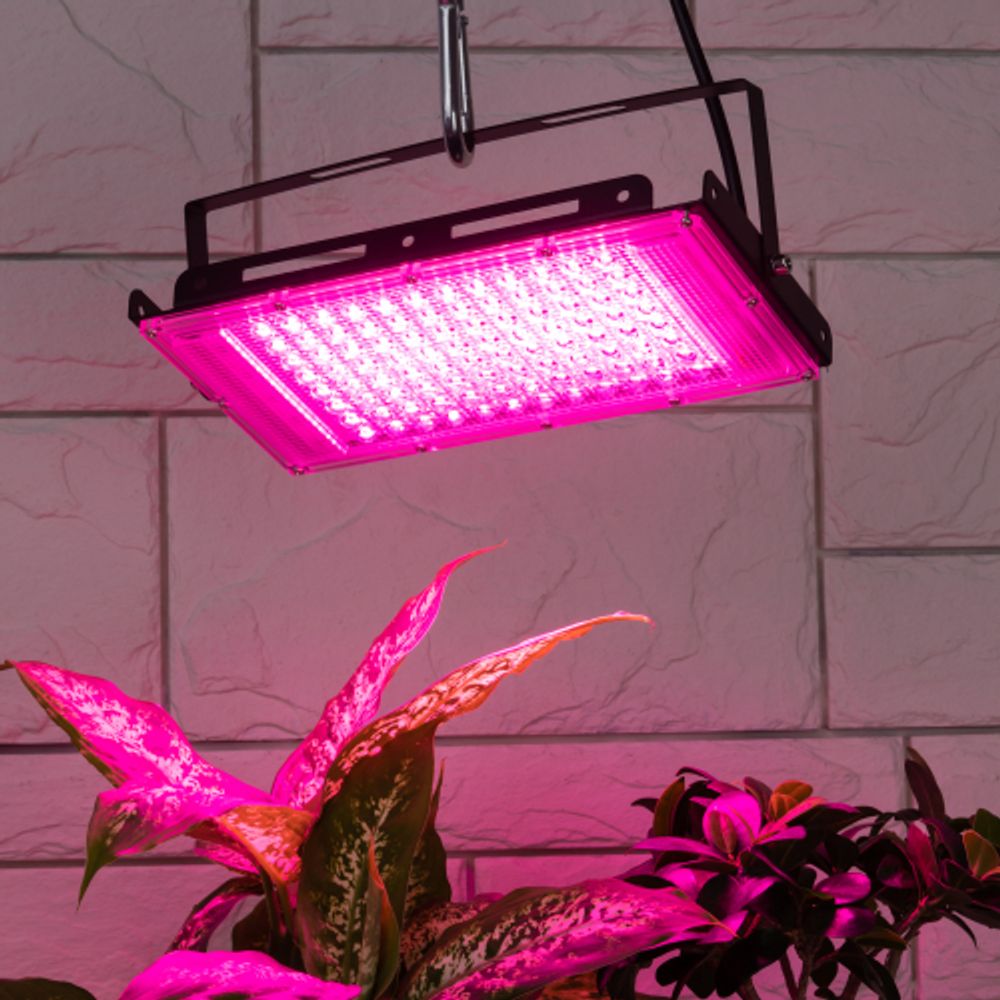 Фитопрожектор для растений светодиодный ЭРА FITO-80W-RB-LED-Y красно-синего спектра