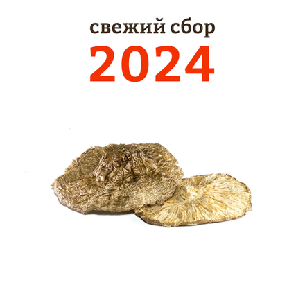 Мухомор пантерный шляпки, 10 грамм. Сбор 2024 г.