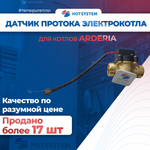 E22013.0631-004С Датчик протока на электрокотел ARDERIA