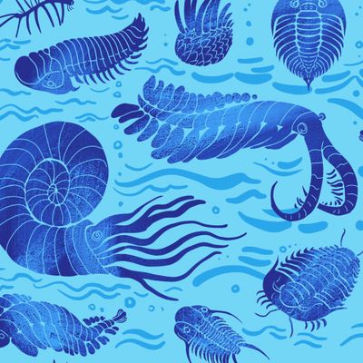 Трилобиты,  аммониты, аномалокарис и прочие (2)