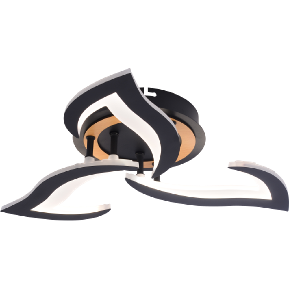 Светильник потолочный светодиодный Rivoli Cassandra 6194-703 LED 3000-6250К 42 Вт с пультом | Интерьерные светодиодные светильники