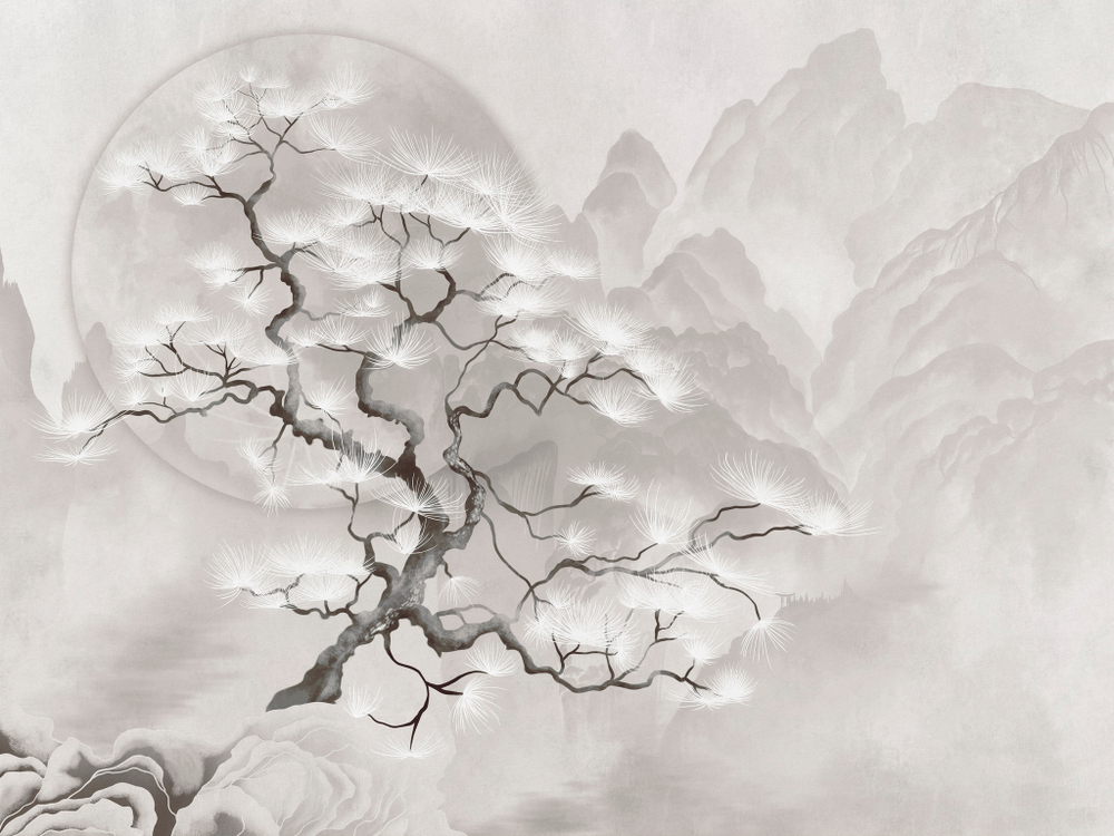 Коллекция BUSIDO