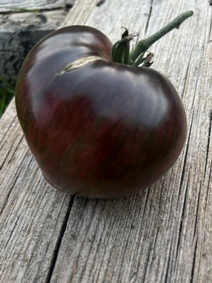 Томат Сержант Пеппер (Mi 1020) 5шт. (чп)