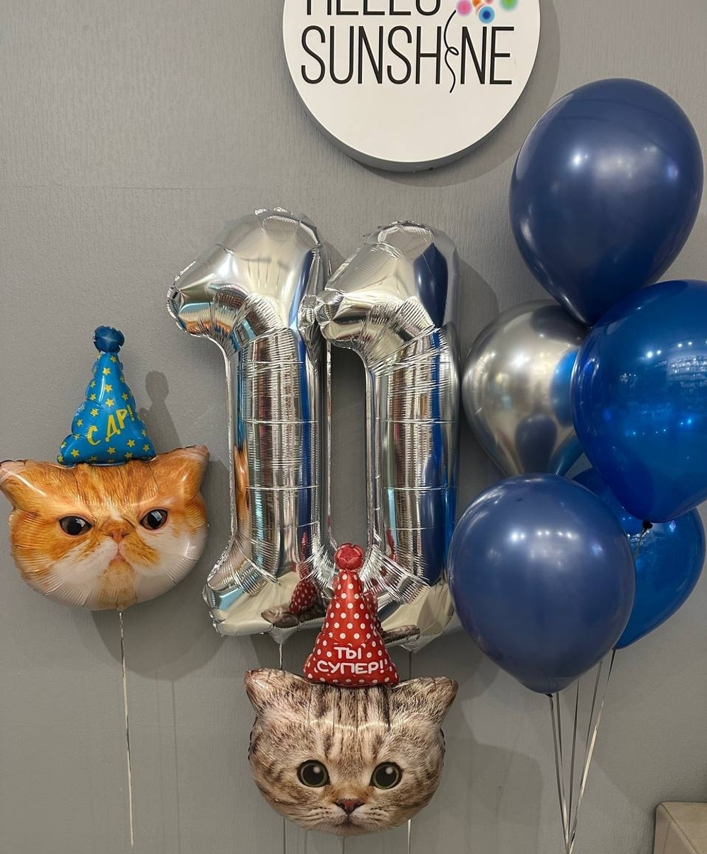 Набор шаров Недовольный Кот 11 лет
