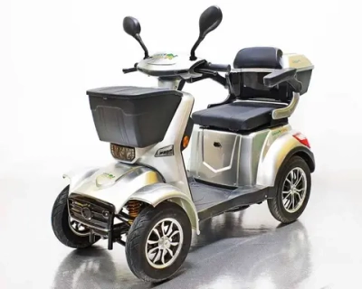 Мобилити Трайк Green Camel Пони 4K (48V 500W 36 км/ч) городской