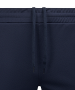 Брюки тренировочные DIVISION PerFormDRY Pro Training Pants 3/4, темно-синий