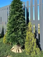 Туя искусственная (Литая хвоя) 230 см / 2,3 м