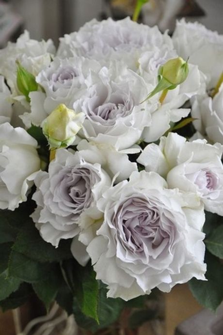 Габриэль (Gabriel)