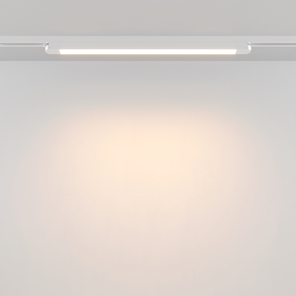 Трековый светильник Maytoni Unity Basis TR000-1-24W3K-W_1