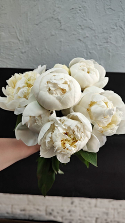Белые ароматные пионы, 7шт