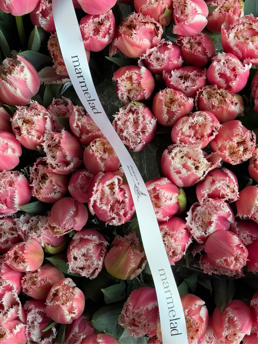 Тюльпаны махровые- нежно-розовый цвет