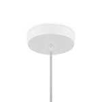 Подвесной светильник Freya Cottage FR5405PL-01W1