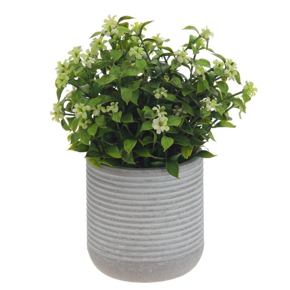 GAEM Цветочная композиция, L11 W11 H17 см, 3в.