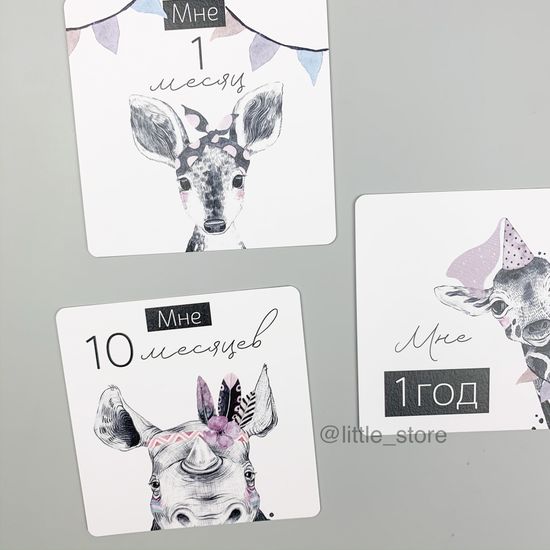 Комплект открыток "Черно-белые звери"