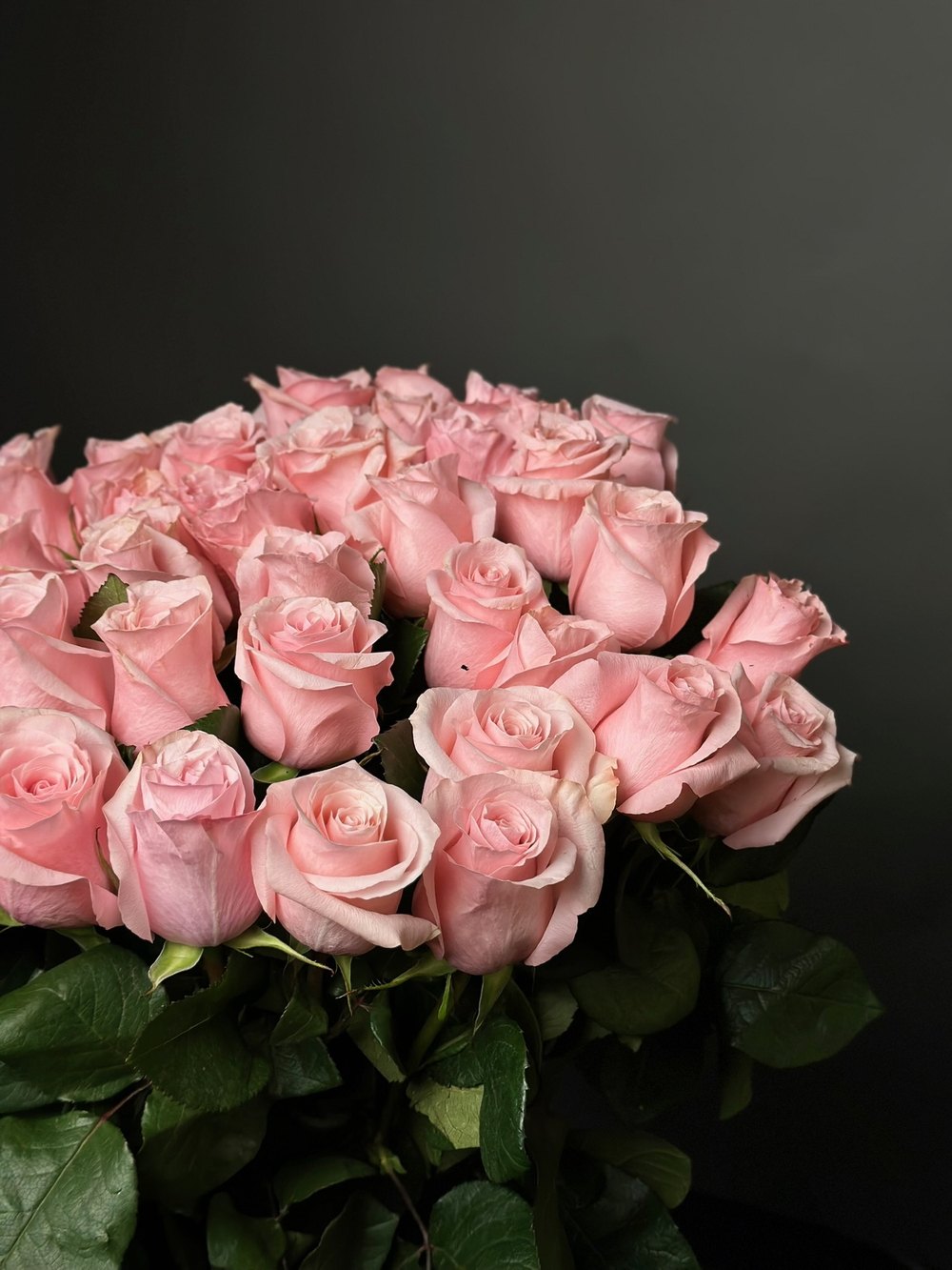 Розы поштучно «Be sweet» (Эквадор)