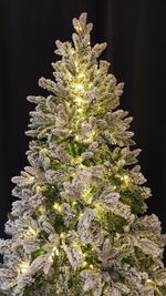 Заснеженная ель с гирляндой «Барокко» теплый свет (Литая+пвх) 240 см / 2,4 м