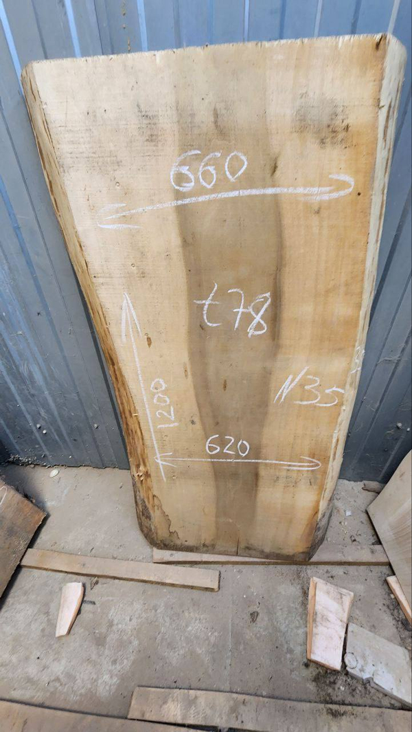 Бук 120 см (Д) × 62/68 см (Ш) × 7 см (Т)