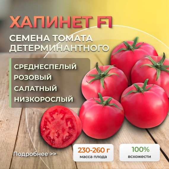 ХАПИНЕТ F1 семена томата Syngenta культура