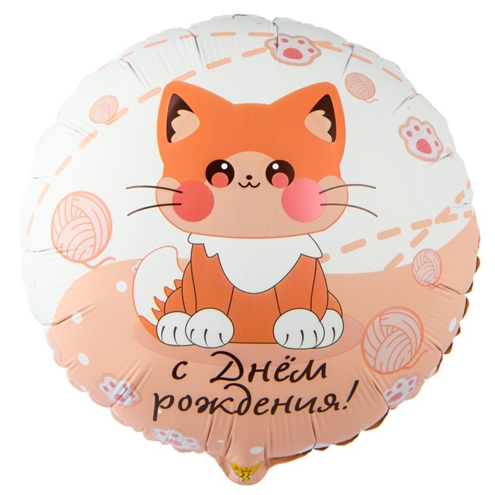 К 18&quot; РУС ДР Котик усатый 1 шт