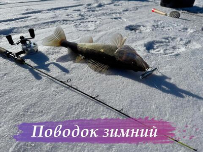 Поводок «Зимний»