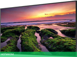 Информационная панель Samsung QB75B черный (LH75QBBEBGCXCI)