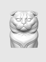 Шотландская вислоухая кошка