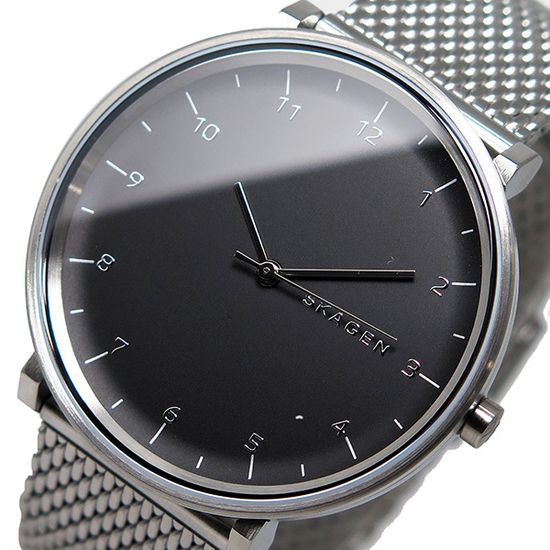 Мужские часы Skagen SKW6175