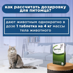 Таблетки от гельминтов для кошек Цестал Кэт для кошек (Ceva), 8 таблеток в упаковке. Пирантел/ Празиквантел