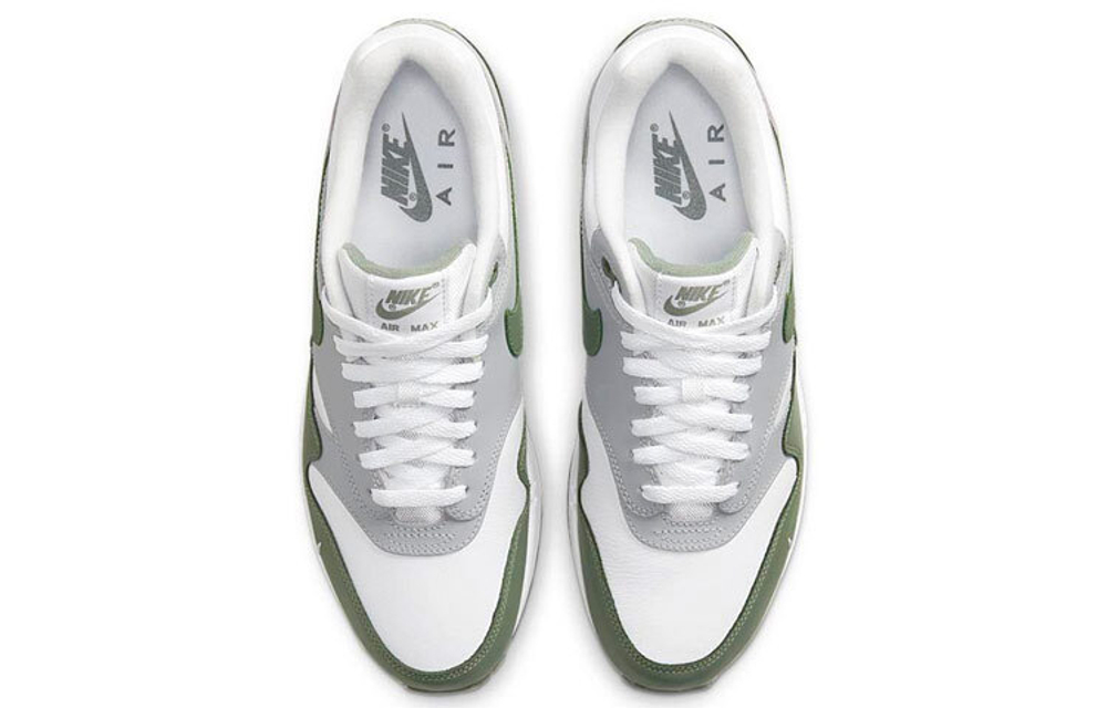 Кроссовки Nike Air Max 1 Premium "Spiral Sage"