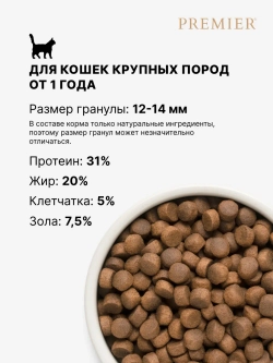Premier Adult Large для крупных кошек (ягнёнком и индейкой)