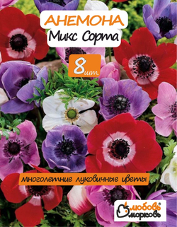 Анемона луковицы, микс сорта 8шт