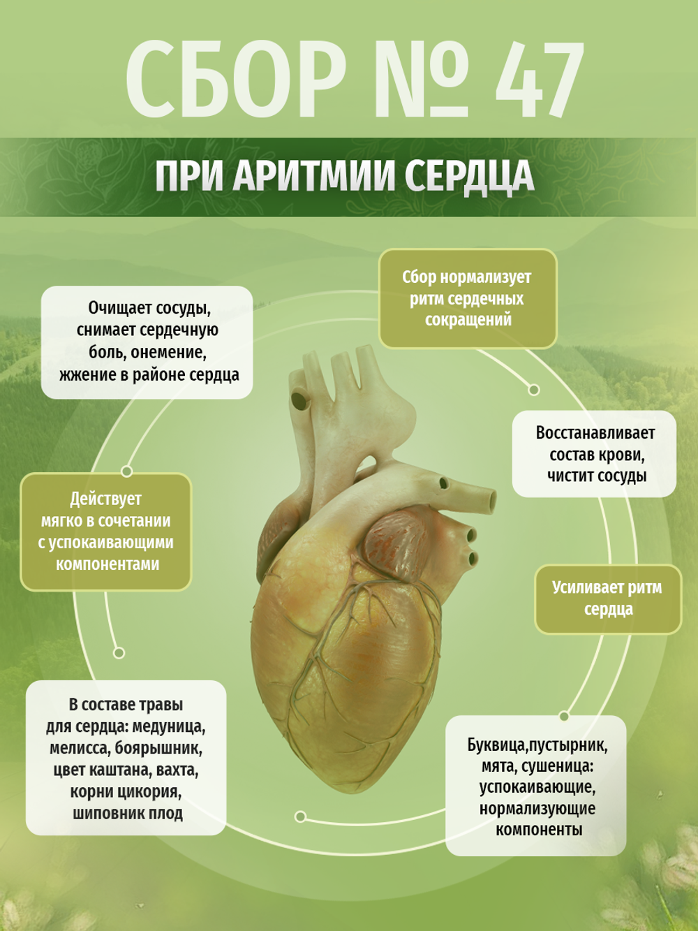 Сбор № 47 При аритмии сердца