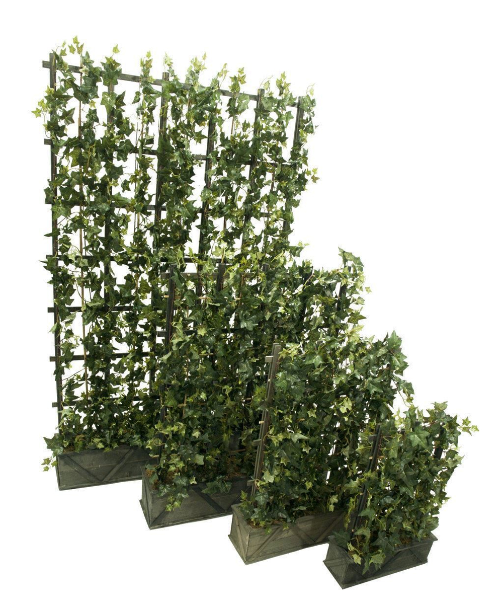 Композиция и плюща 100х160 см [Арт. 3692826]