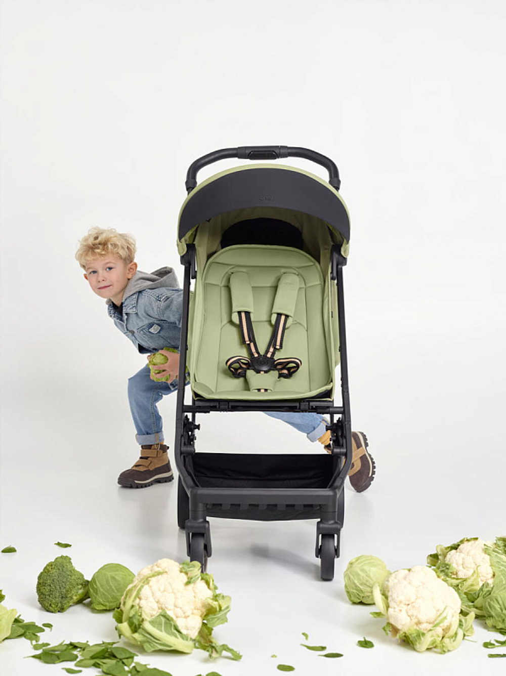 Детская прогулочная коляска Anex Air-X2 Vert