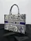 Сумка Dior Book Tote, модель маленького формата синий