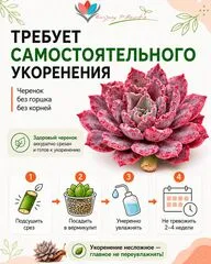 Инструкция