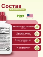 GSE экстракт косточек грейпфрута 59мл