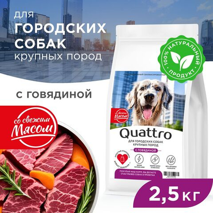 Корм сухой для взрослых собак крупных пород, премиум полнорационный комплекс, для городских собак, с говядиной, 2,5 кг, QUATTRO