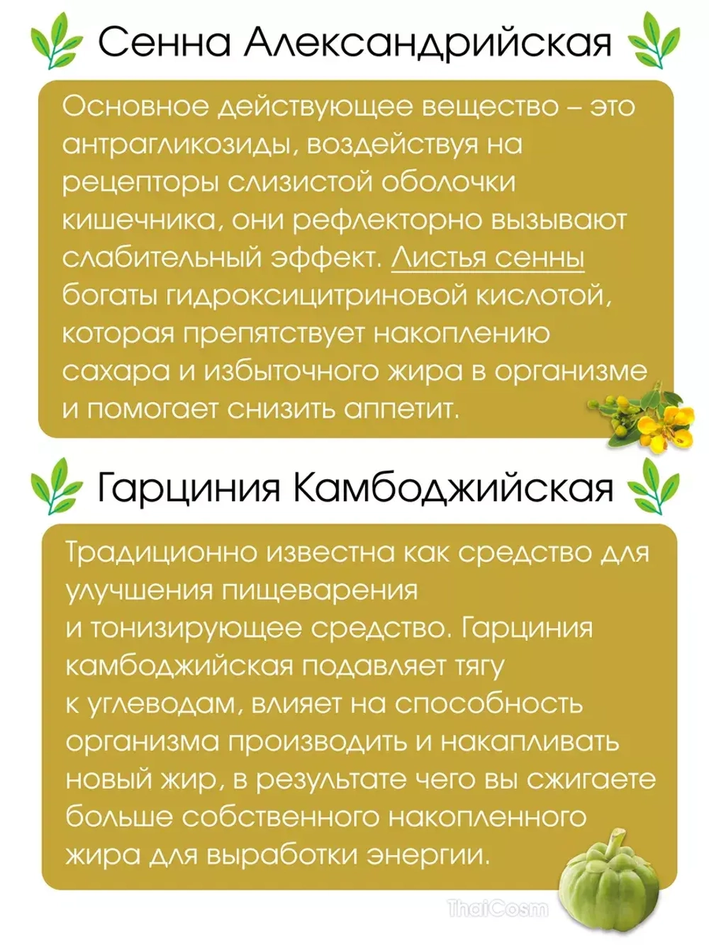 Фиточай СЕННА И ГАРЦИНИЯ, для Похудения + Детокс 20саше
