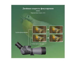 Зрительная труба SVBONY SV46P 20–60x80 ED WP - фото 7