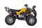 Квадроцикл RAPTOR Max Pro 250 (жёлтый/чёрный) (2024)