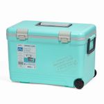Термобокс SHINWA Holiday Land Cooler 27H синий  /6