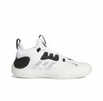 Кроссовки Adidas Harden Vol. 5 Futurenatural Welcome to BKLYN 'Cloud White Core Black Crystal White' Q46143